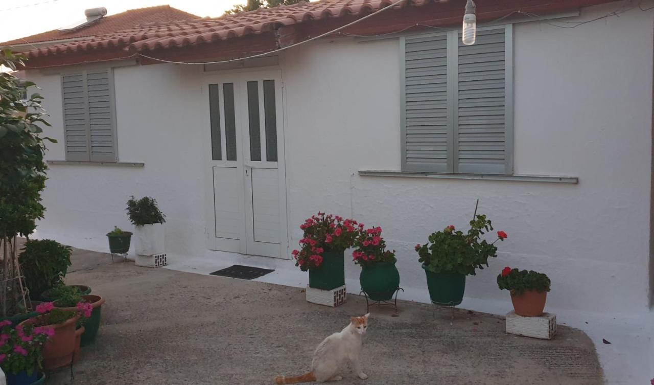 Mitikas Cosy Studio Villa Mytikas  Bagian luar foto