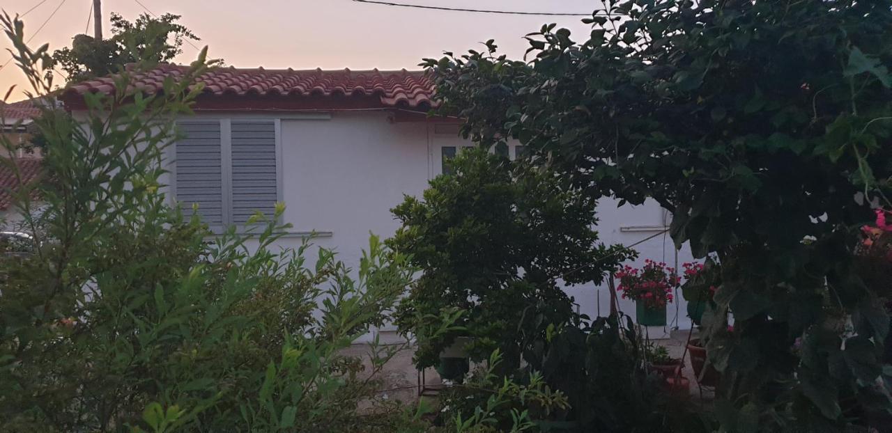 Mitikas Cosy Studio Villa Mytikas  Bagian luar foto
