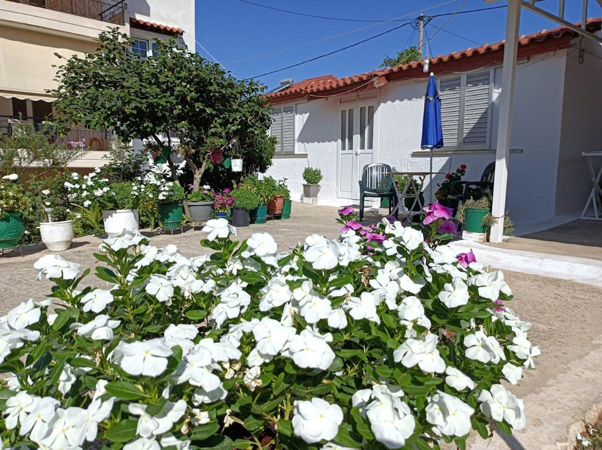 Mitikas Cosy Studio Villa Mytikas  Bagian luar foto